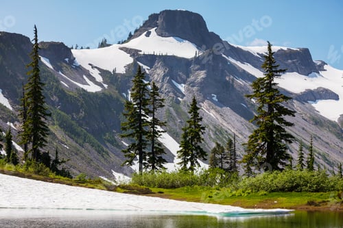 Preview: Mt Baker Area