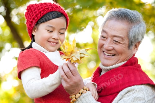 Preview: Grandfather and Granddaughter Looking at Maple Leaves