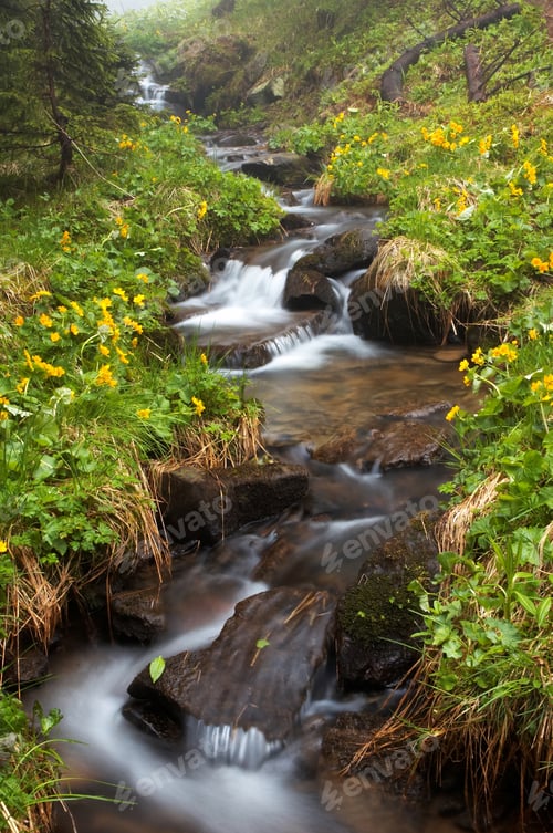 Preview: Mountain river flowing through the green forest. Stream in the wood.