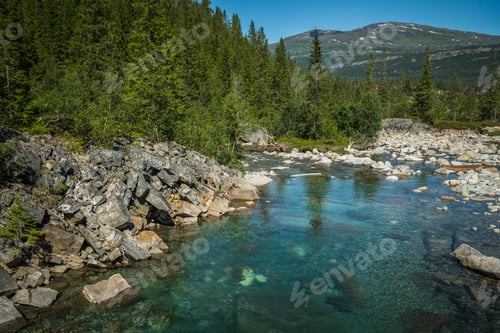 Preview: Forest Mountain Stream