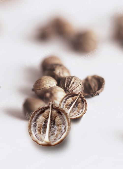 Preview: Macro coriander seeds