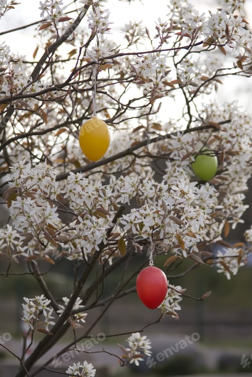 Preview: Tree blooming with white flowers decorated with Easter eggs