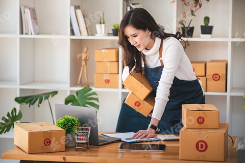 Preview: Small start-up business owners using computers at work, freelancers, saleswoman, checking production