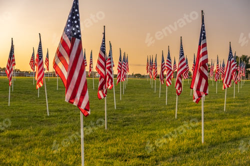 Preview: A field of American flags at sunset