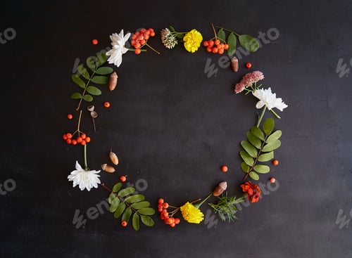 Preview: Cicrle of autumn flowers. Atmospheric background with rowan berries, acorns, marigold, chrysanthemum