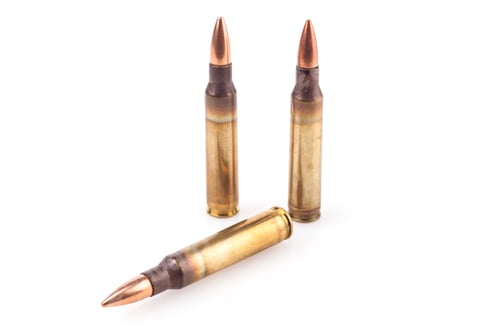 Preview: Bullets Isolated on White