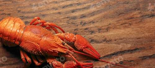 Preview: Boiled large crayfish on a wooden table. Banner. Layout for design.