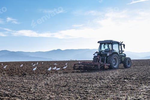 Preview: View of a tractor tilling the field with birds behind on a sunny day