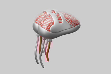 Preview: Robotic brain alien jellyfish creature