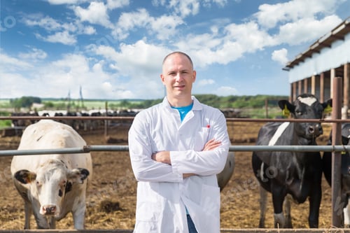 Preview: Positive Smiling Veterinarian On Cattle Farm Outdoors