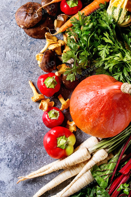 Preview: Variety of autumn harvest vegetables