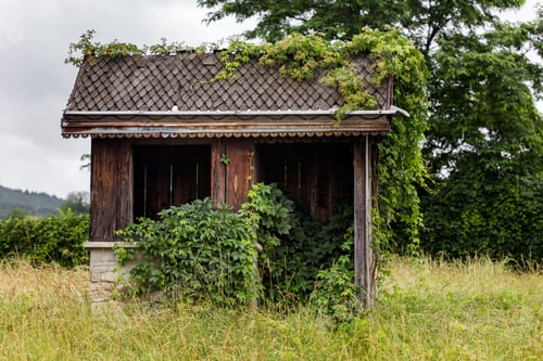 Preview: Old abandoned barn on the edge of the forest
