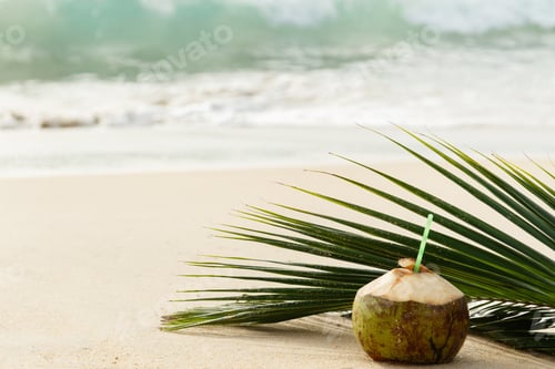 Preview: Cocktail in coconut and palm leaf on sandy beach