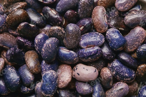Preview: Close-up view of raw dry purple haricot beans texture