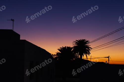 Preview: blue orange sunset background with palm trees silhouettes