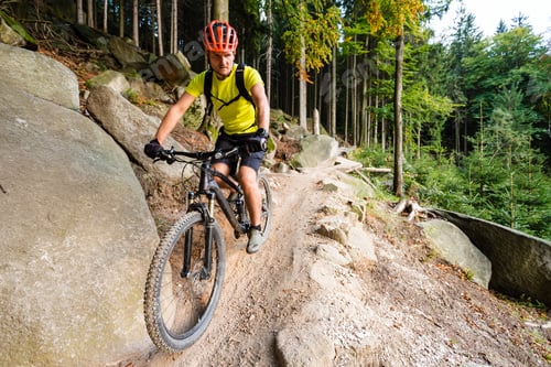 Preview: Mountain biker riding cycling in autumn forest