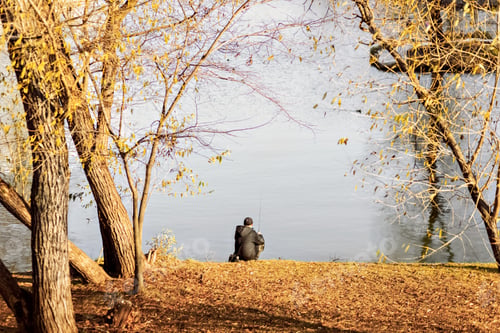 Preview: A fisherman sits with a fishing rod on the shore of a lake in a autumn forest. Fishing