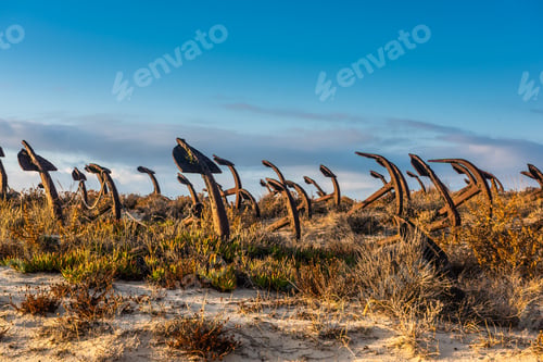 Preview: Anchor Cemetery of Santa Luzia, Portugal. Sand dunes of Praia do Barril beach, Algarve