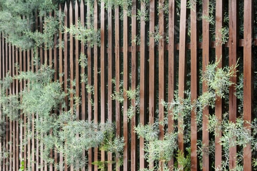 Preview: wooden fence in the garden