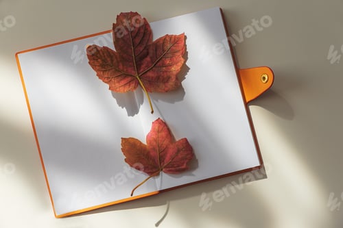 Preview: Autumn Notebook with Leaves on Light Background under Sun light