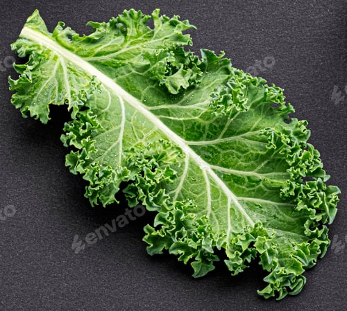 Preview: Kale salad leaf isolated on black background, top view