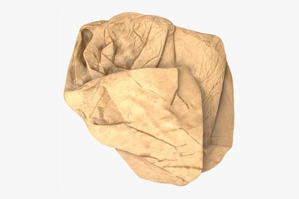 Preview: Crinkled Brown Paper Lunch Sack - Flattened