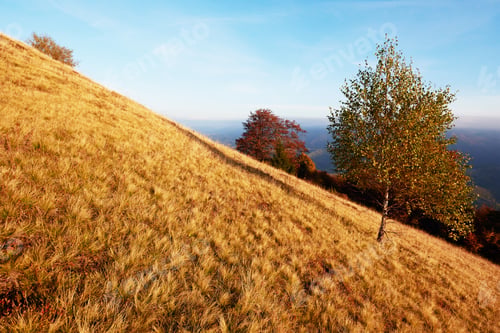 Preview: Autumn in mountain, amazing landscape