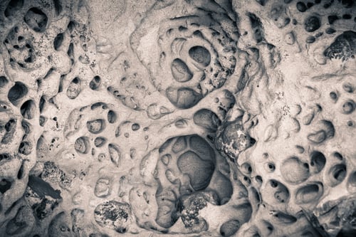 Preview: Eroded sandstone ceiling, Castle Rock State Park, Santa Cruz mountains, California; black and white