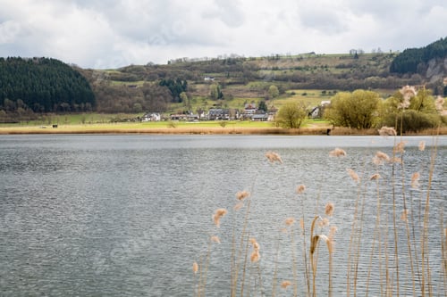 Preview: Meerfelder Maar, Eifel, Germany
