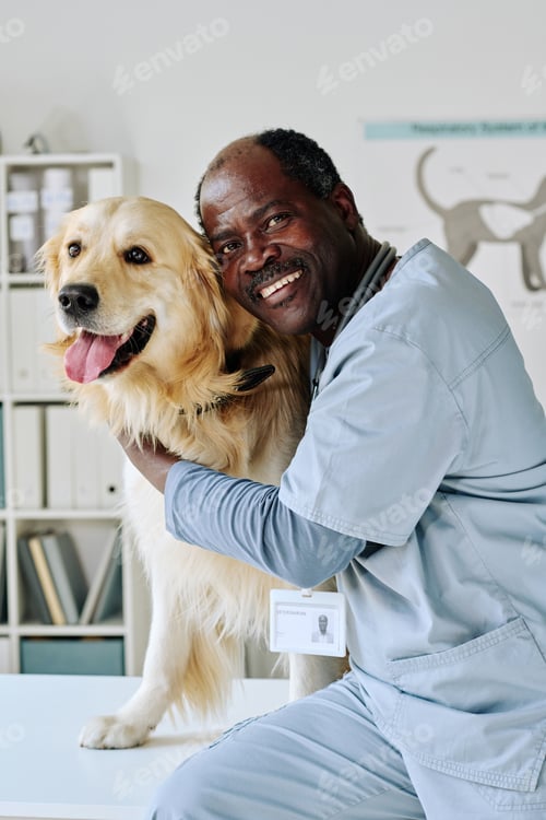 Preview: Professional veterinarian with his patient