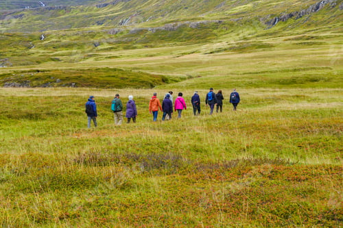 Preview: Group of hikers in a line among green hills