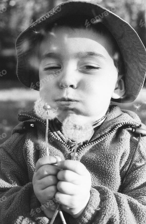 Preview: Boy blowing the dandelion