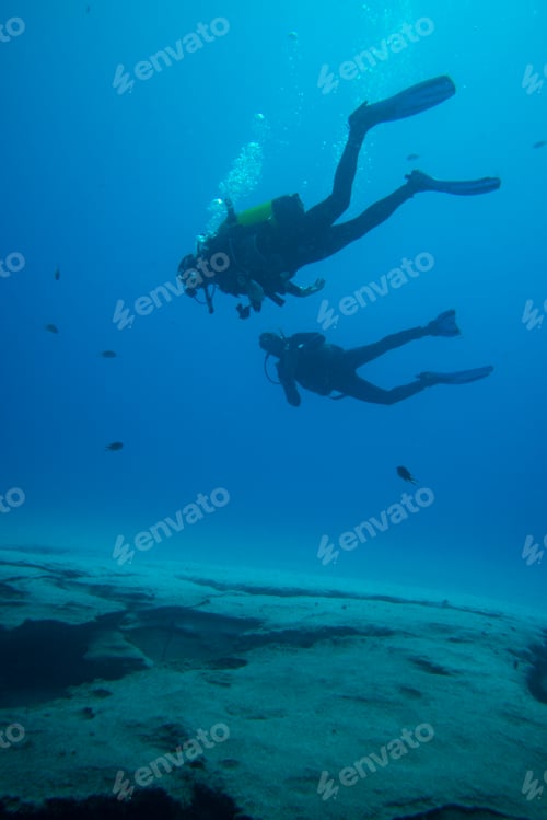 Preview: divers in immersion near the reef
