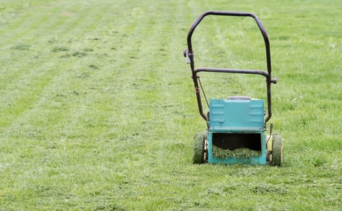 Preview: lawn mower in the garden