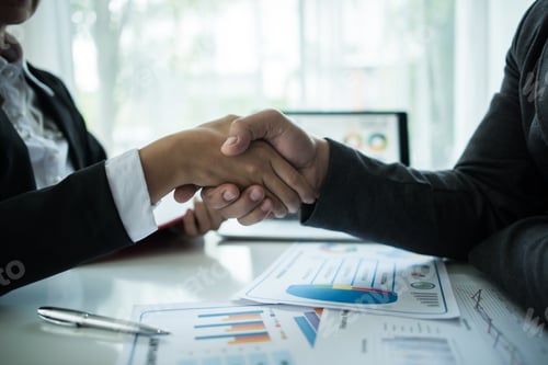 Preview: businessman shaking hands to seal a deal with his partner