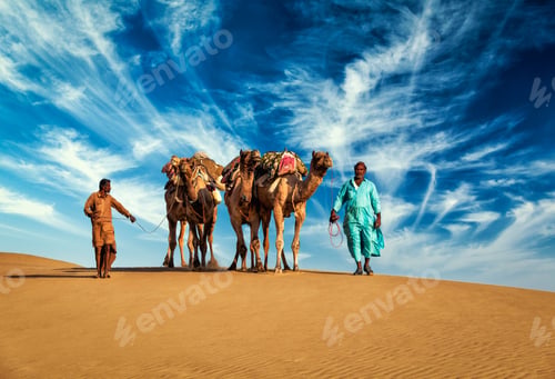 Preview: Two cameleers camel drivers with camels in dunes of Thar desert