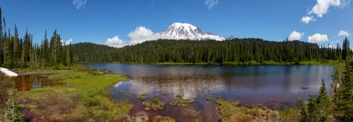 Preview: Reflection Lake with Mt Rainier in the background during a sunny summer day