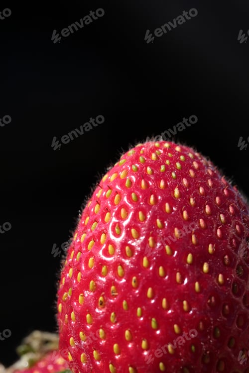 Preview: fresh strawberry background