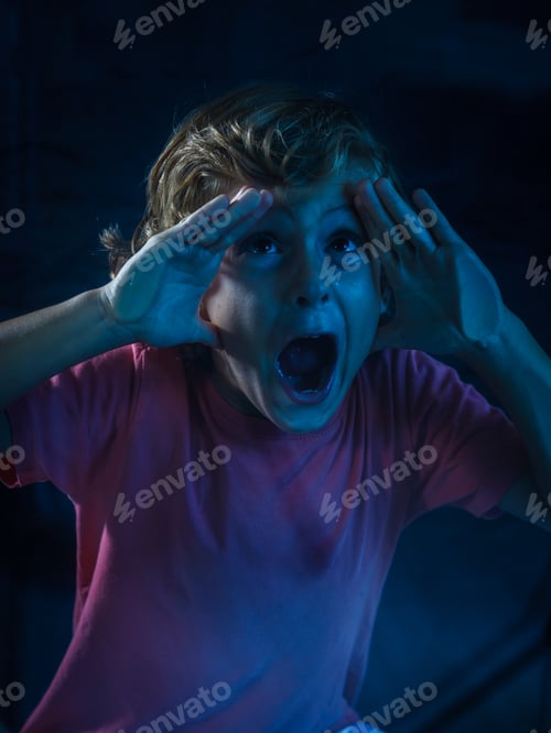 Preview: Blond boy looking through the glass of an aquarium at the fish