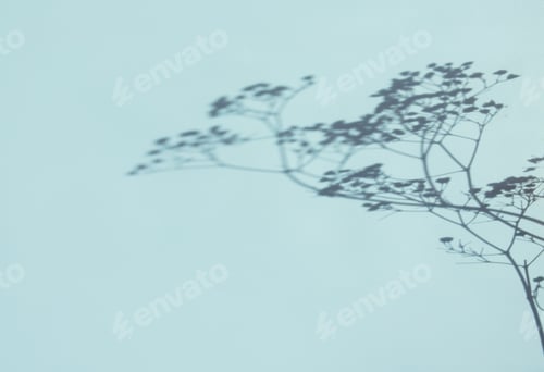Preview: natural shadow pastel mint background