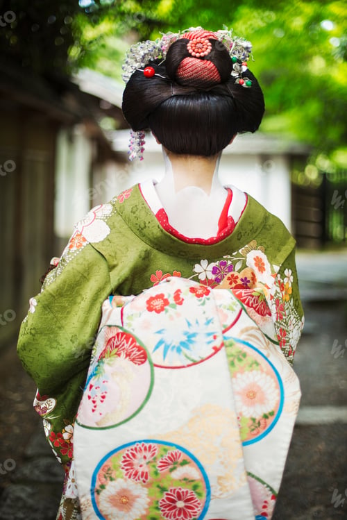 Preview: Geisha in traditional costume with hair up