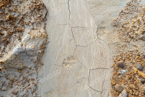 Preview: Dry cracked ground with traces of erosion and animal footprints