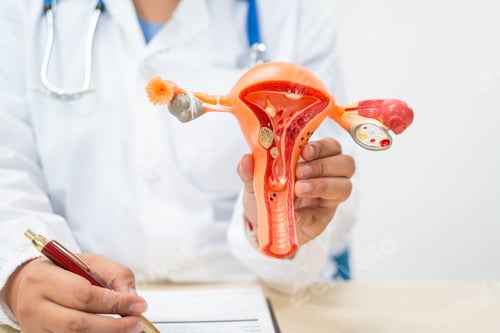 Preview: A female doctor sits at a desk in hospital explains about uterine conditions such as endometriosis