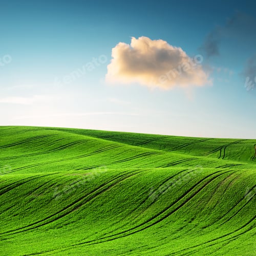 Preview: Abstract rural landscape with agricultural fields