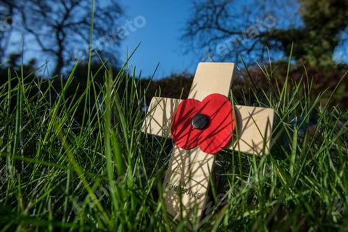 Preview: Poppy Day - Remembrance Day