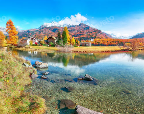 Preview: Spectacular autumn scene of Sils im Engadin (Segl) village and Sils Lake (Silsersee).
