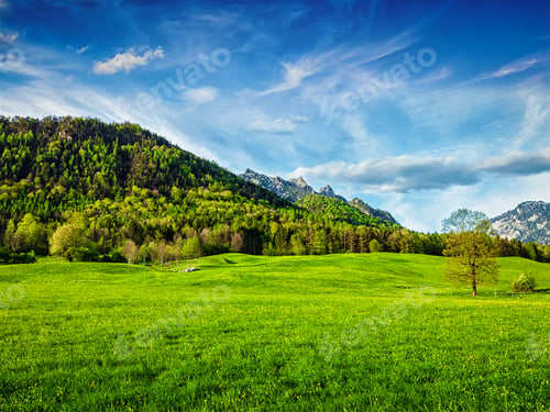 Preview: Alpine meadow in Bavaria, German