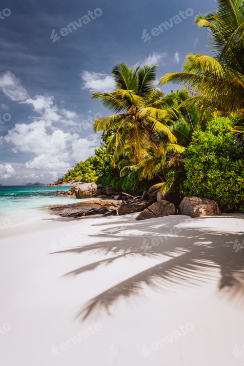 Preview: Beautiful Petite Anse beach at Mahe Island, Seychelles. Palm trees and blue sky. Holiday vacation