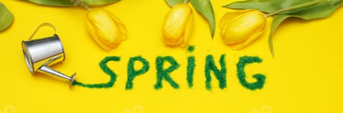 Preview: The inscription Spring from decorative green grass on a yellow background