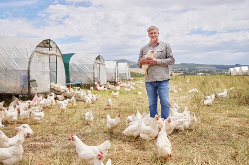 Preview: Running a sustainable farm with pride and care